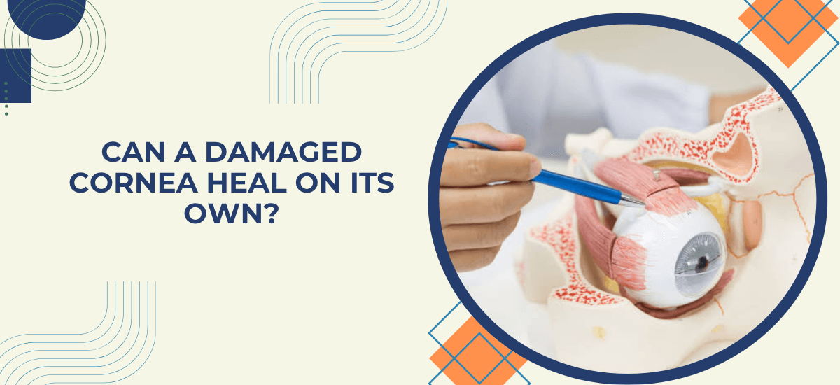 Can a Damaged Cornea Heal on Its Own?