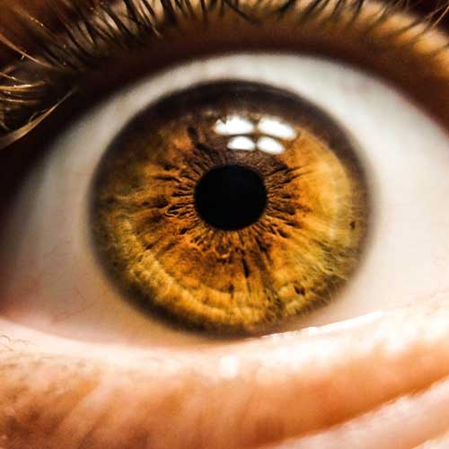 Retina Clinic