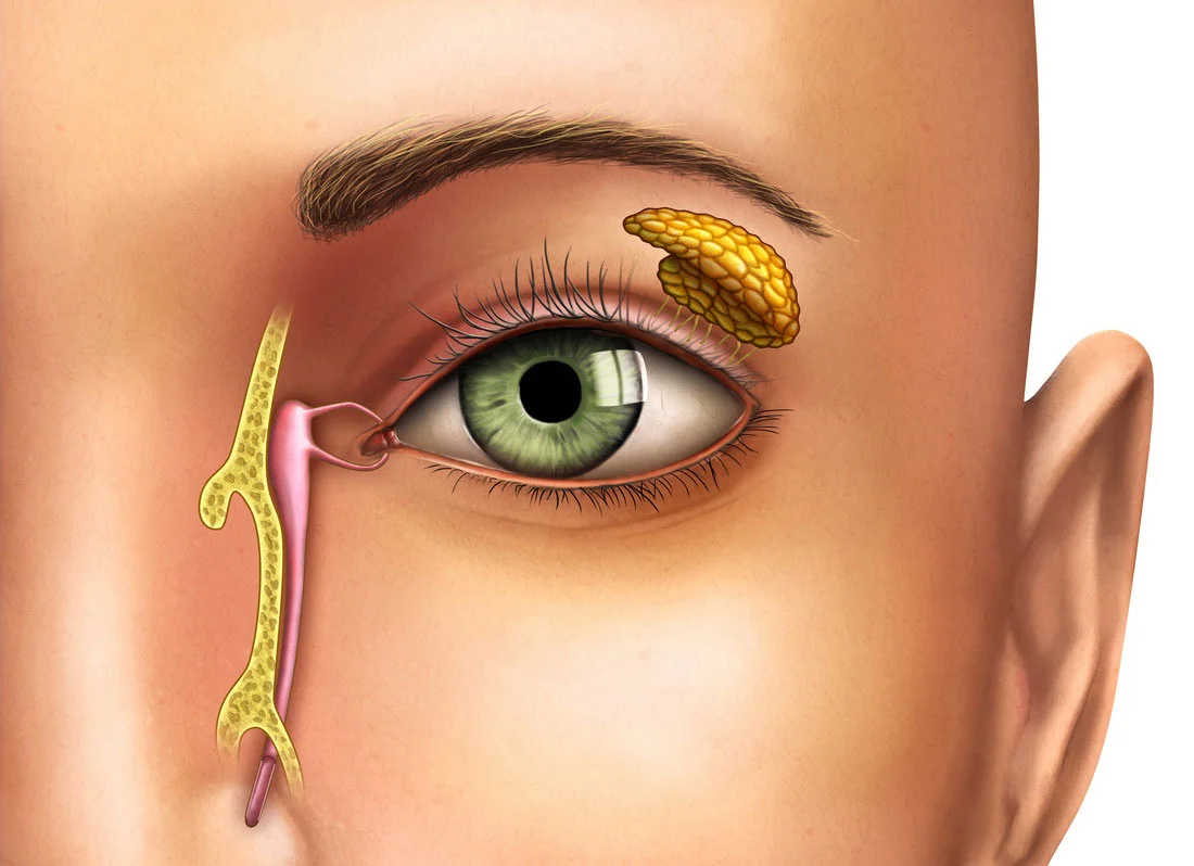 Kenia Eye Hospital
