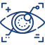 Vision Correction Icon